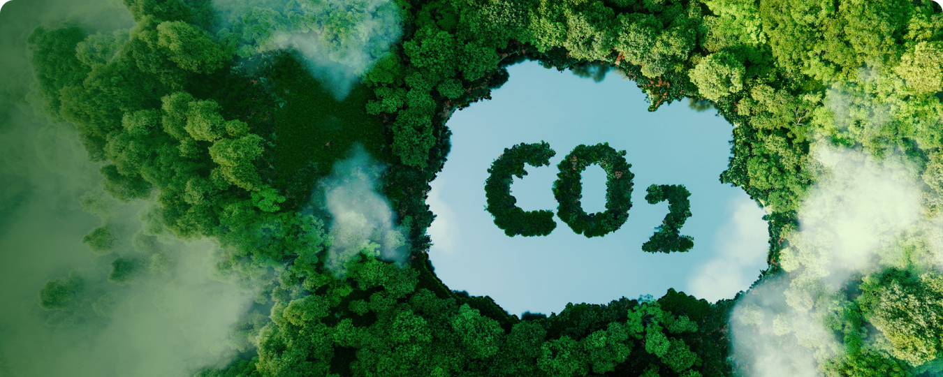 CO2 lake image